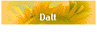 Dalt